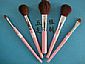 cosmetic brush set 