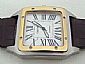 Cartier watch