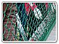 Chain Link Fence
