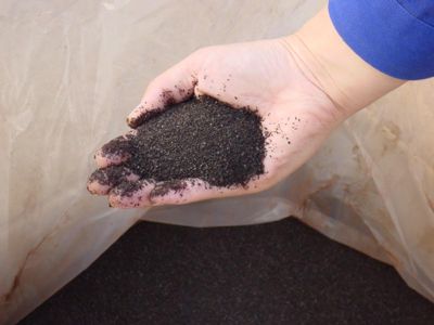 Seaweed Extract Soluble Flake 