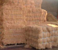 Coir fibre