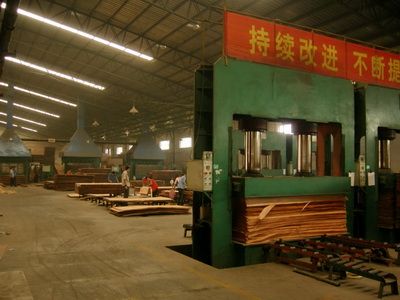 Veneer plywood production machine