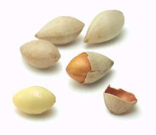 Gingko Nuts