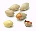 Gingko Nuts