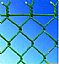 PVC Coated Chain Link Fence, Diamond Wire Mesh