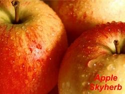 Apple extract Apple Polyphenols & Phloridzin & Phloretin
