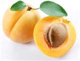 Apricot Puree-Brix 28/3
