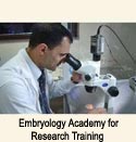 Extended embryo culture