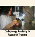 Embryo handling