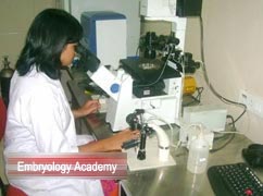Preparation of culture medium and dishes for IVF/ IVF-ICSI cases