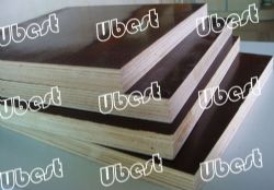 Film Faced Plywood