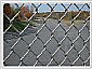 chain link fence  
