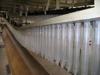 Condom Manufacturers