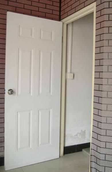 high definition steel panel door