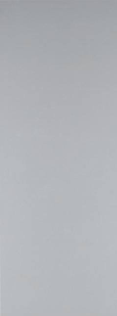 interior steel panel flush door