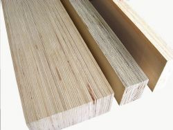 scaffold plank