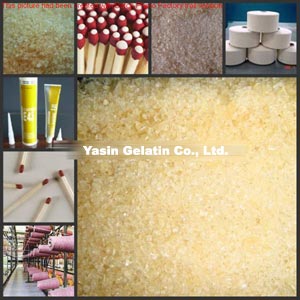 Gelatin