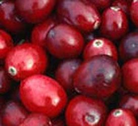 Cranberry Extract