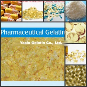 Medical Gelatin 
