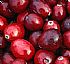 Cranberry Extract