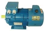 YVP Series Motor