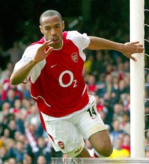 iron wire mesh and iron nails