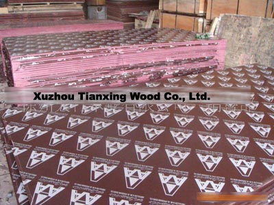 Film faced plywood with logo