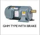 Gear Reduced Motors with Brake