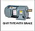 Gear Reduced Motors with Brake