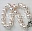 Seashell pearls necklace 