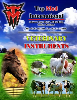 Veterinary Instruments