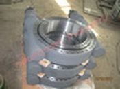 Double-worm slew drive for cranes