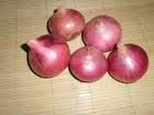 Onion