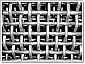 Crimped Wire Mesh