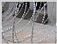 Razor Wire