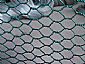 Hexagonal Wire Mesh