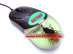 real insect amber optical computer mouse,cool gift