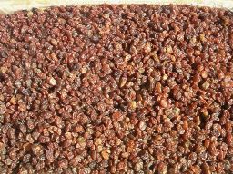 Raisins