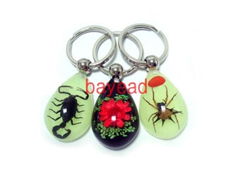 Real scorpion insect amber keychains,key chain