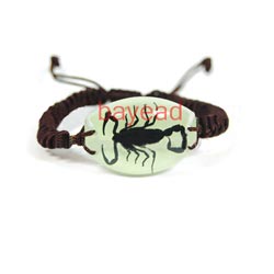 real insect Acrylic Lucite bracelet jewelry
