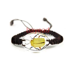 real beetle clear Acrylic Lucite bracelet jewelry, so cool 