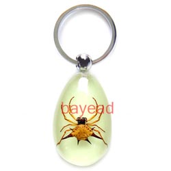 real spider Acrylic Lucite keyring,keychains