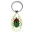 real insect Acrylic Lucite keychains, keyrings, high quality