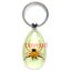 real spider Acrylic Lucite keyring,keychains