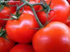 lycopene