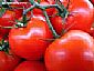 lycopene