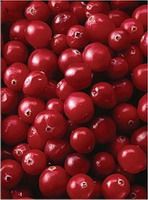 Cranberry PE 