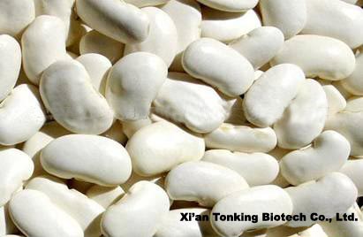 White Kidney Bean PE