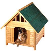 Dog House