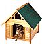 Dog House
